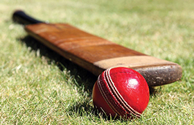 The Gentleman's Game: A Journey Through Cricket